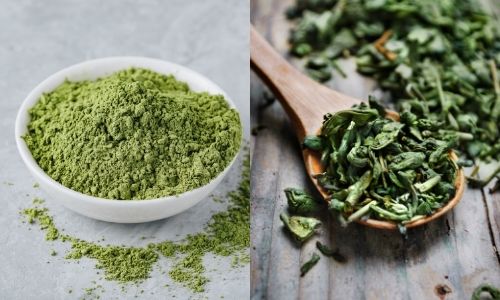 Aký je rozdiel medzi japonským zeleným čajom Sencha a zeleným čajom Matcha?